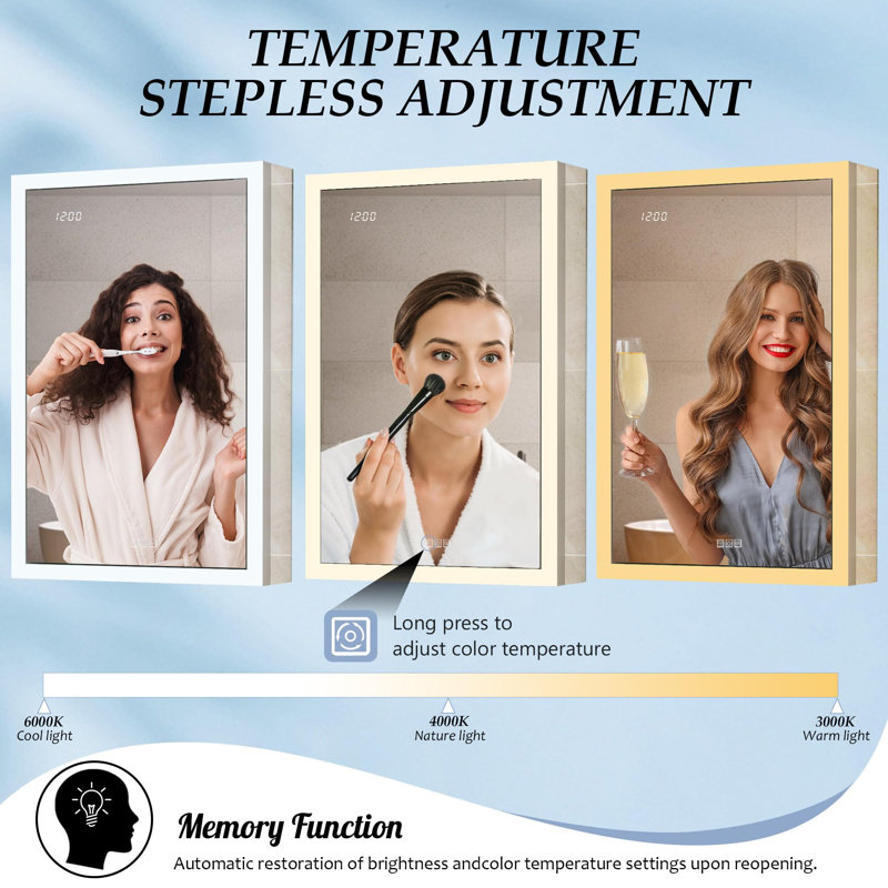 Brayden Studio® Recessed Lighted Medicine Defog & Dimmable LED